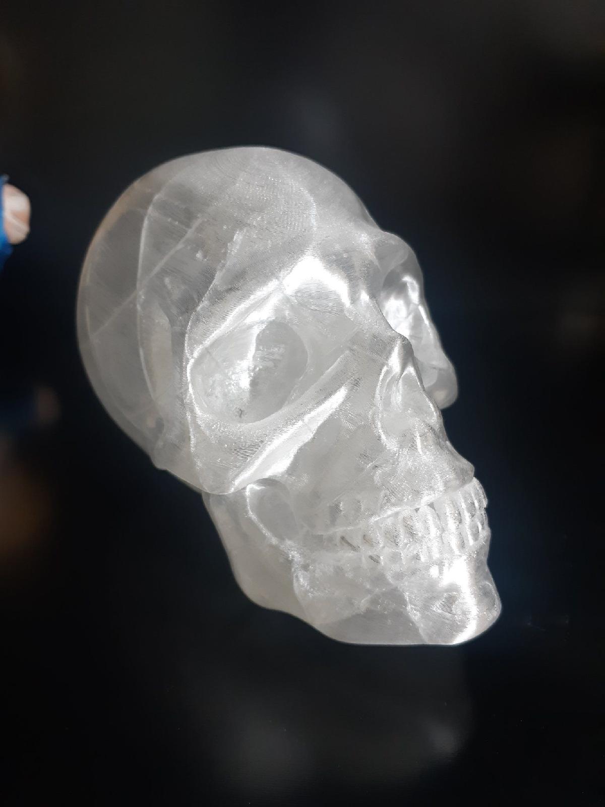 Caveira/ Vaso STL LOJA3D
