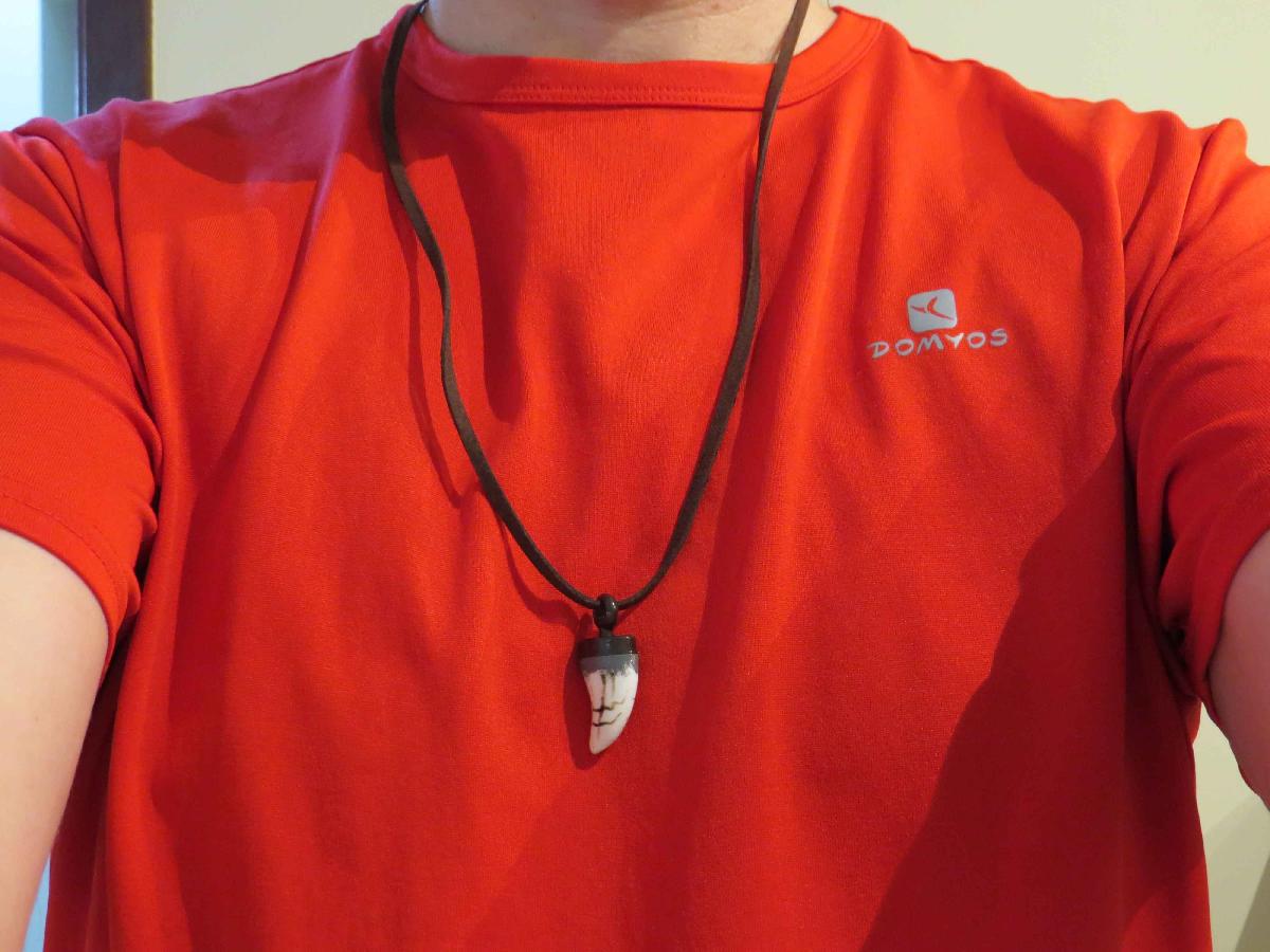 Pingente   Jurassic World   Acampamento Jurassico