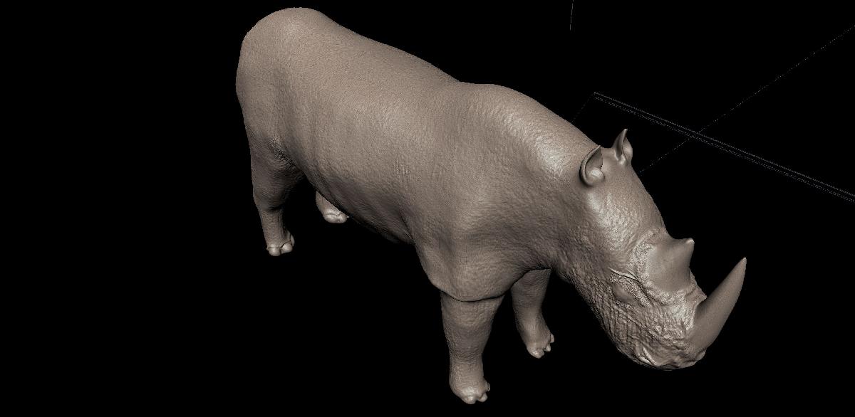 rinoceronte