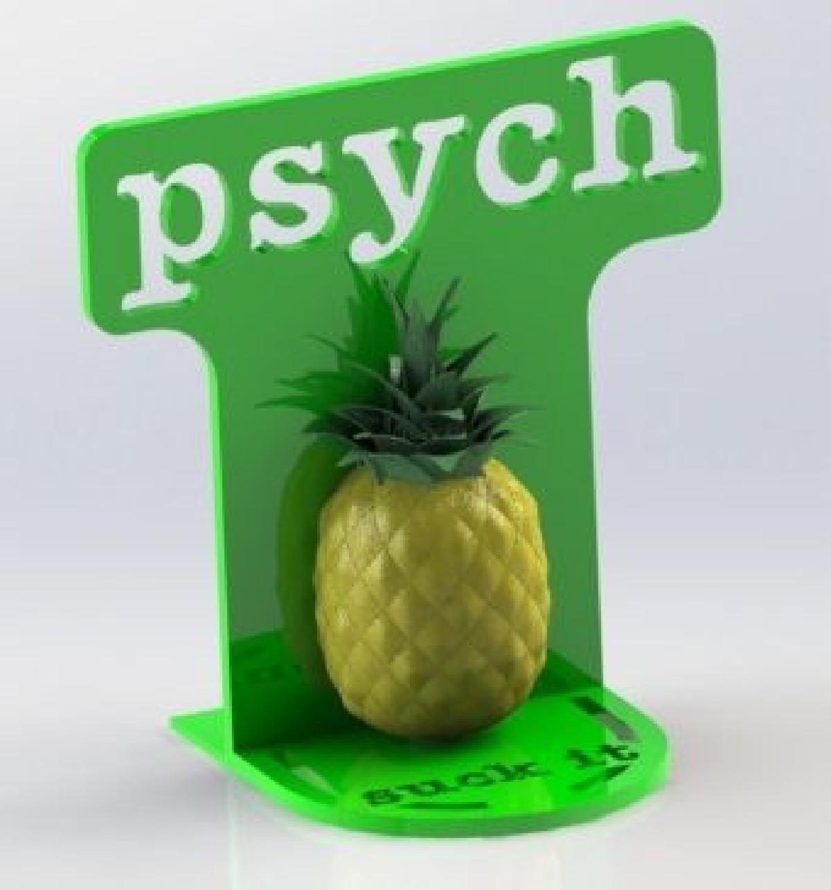 Programa de TV Psych Bookend