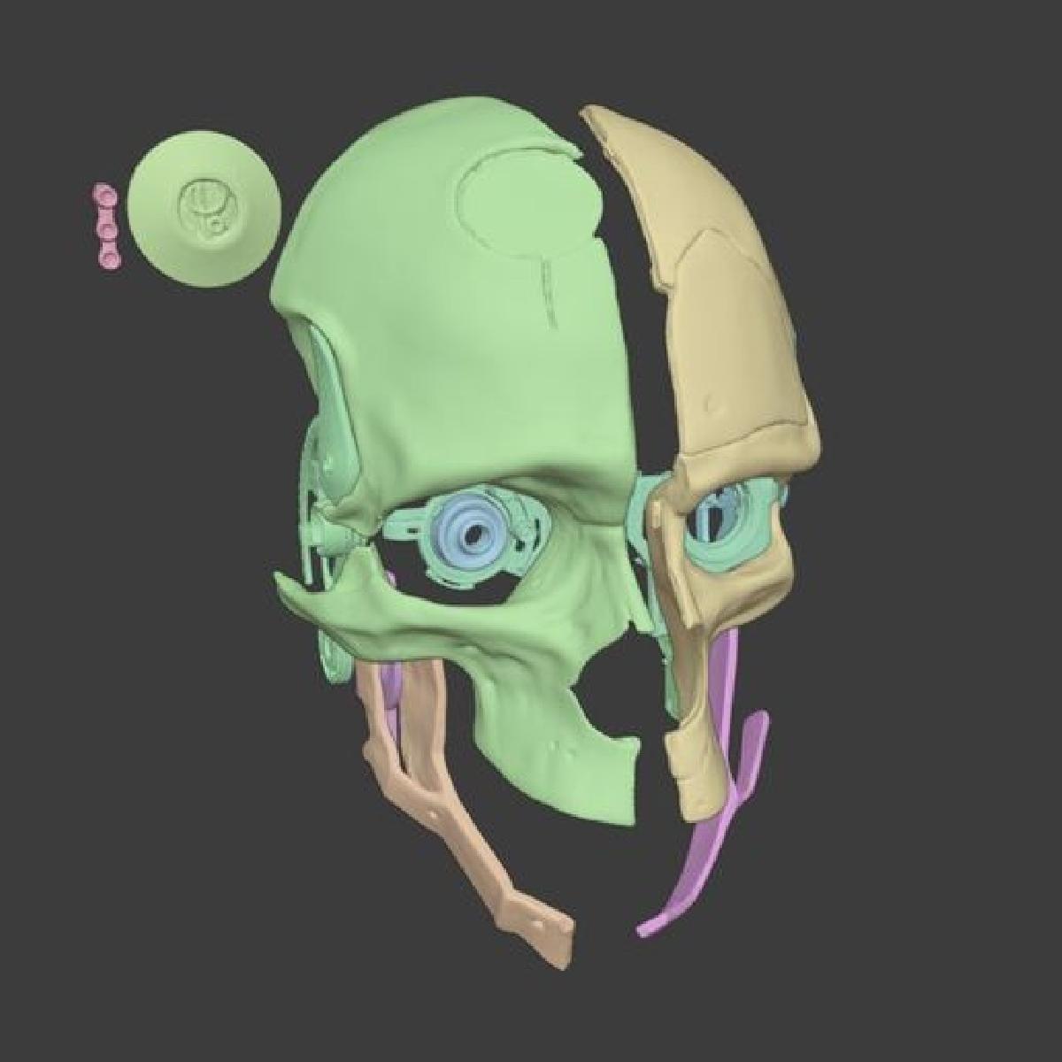 TMFX CORVO MASK SCAN (Dishonored)