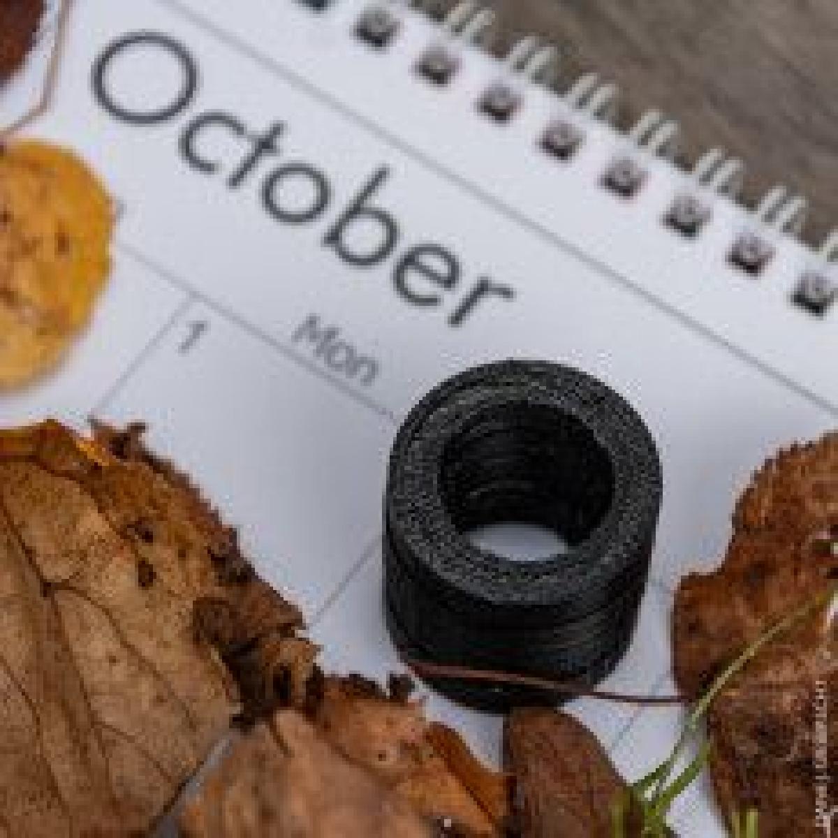 Colecao Printober 2019