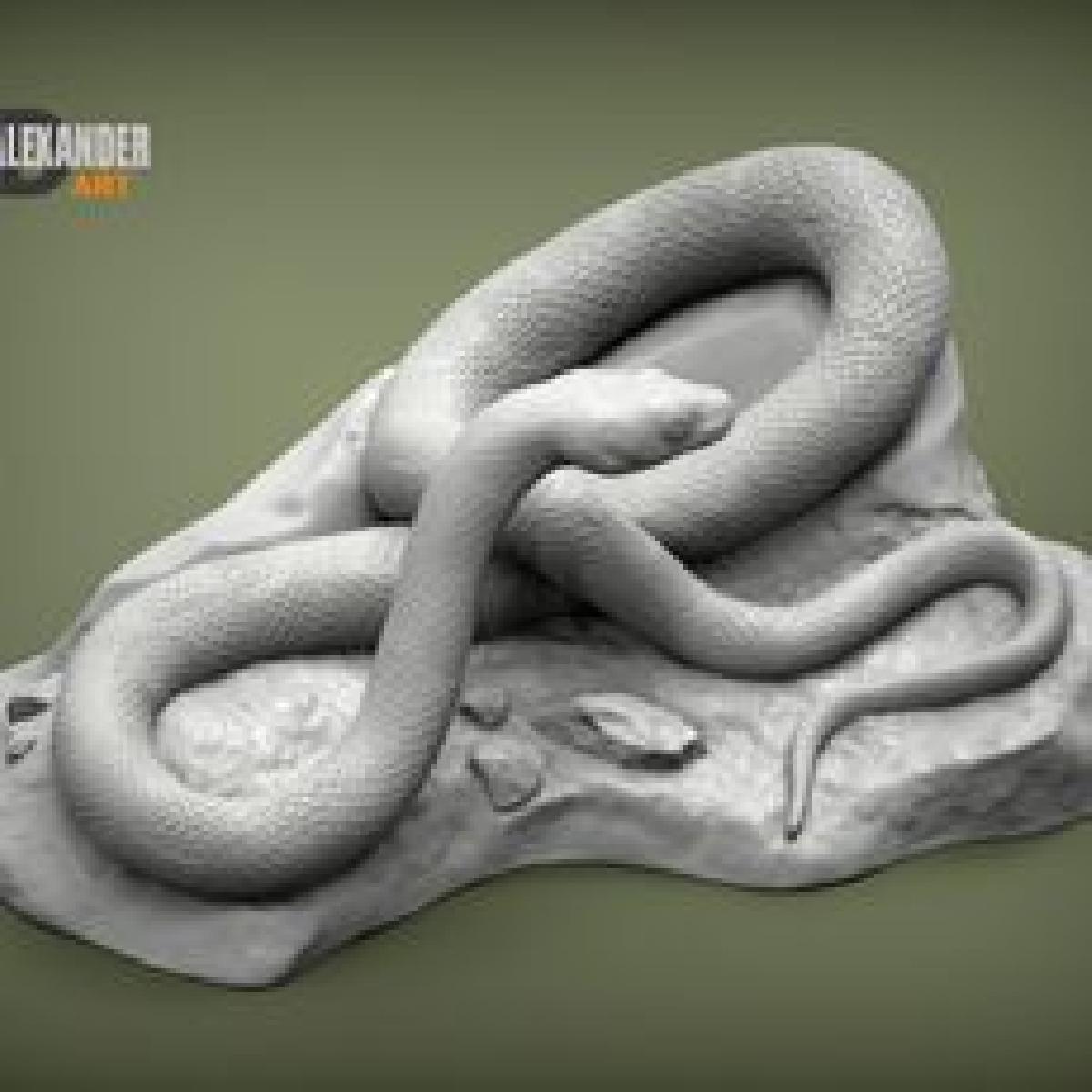 Cobra rato trans Pecos