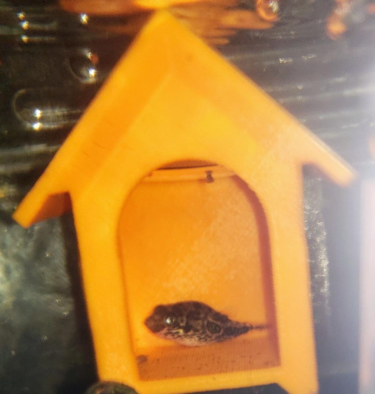 Casa de Peixes / Camaroes / Caracois