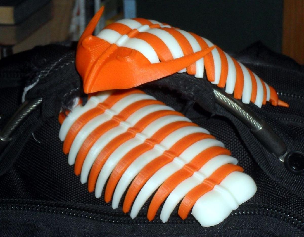 Trilobita articulada