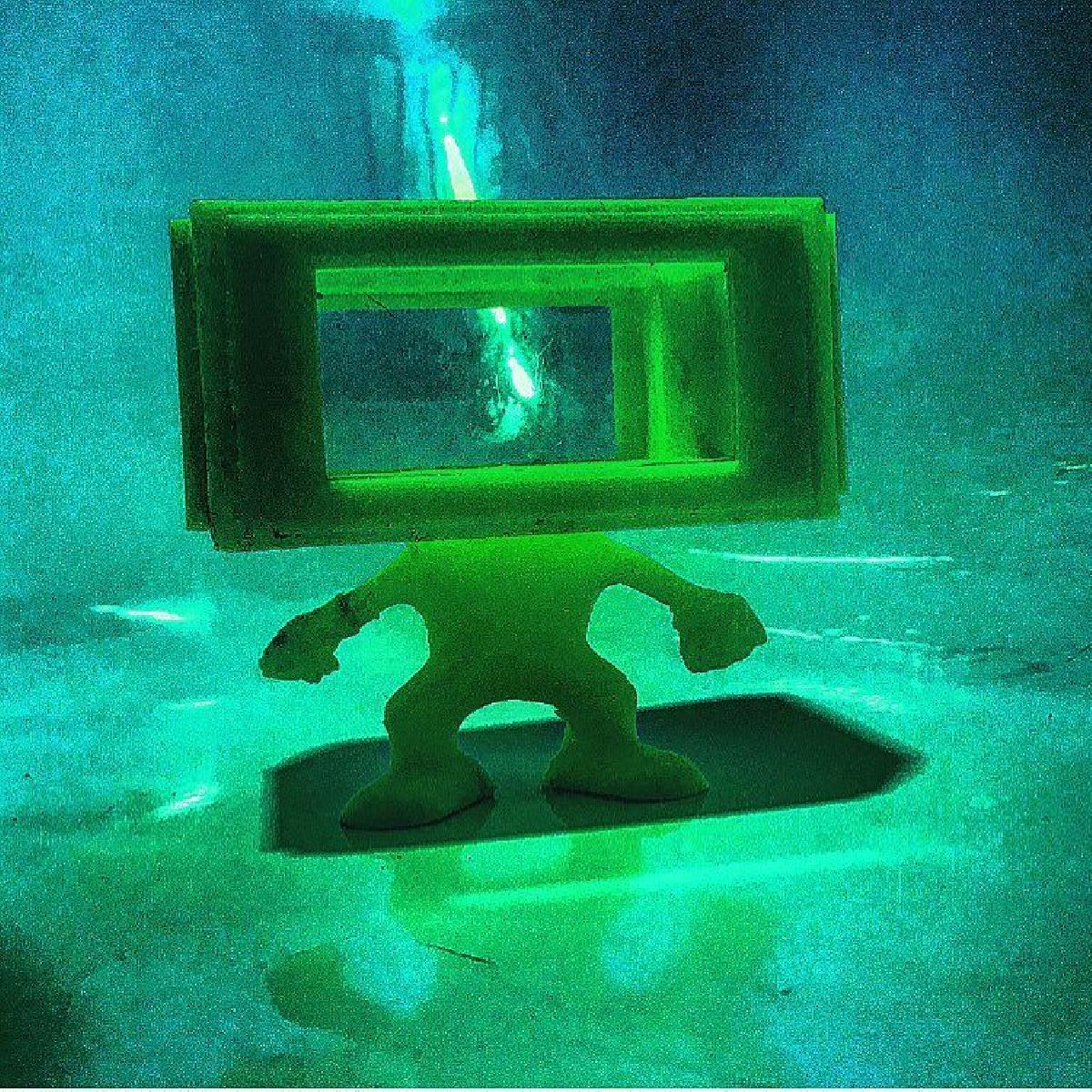 FISH TANK FUNKO POP OU PORQUINHO DE COLETA