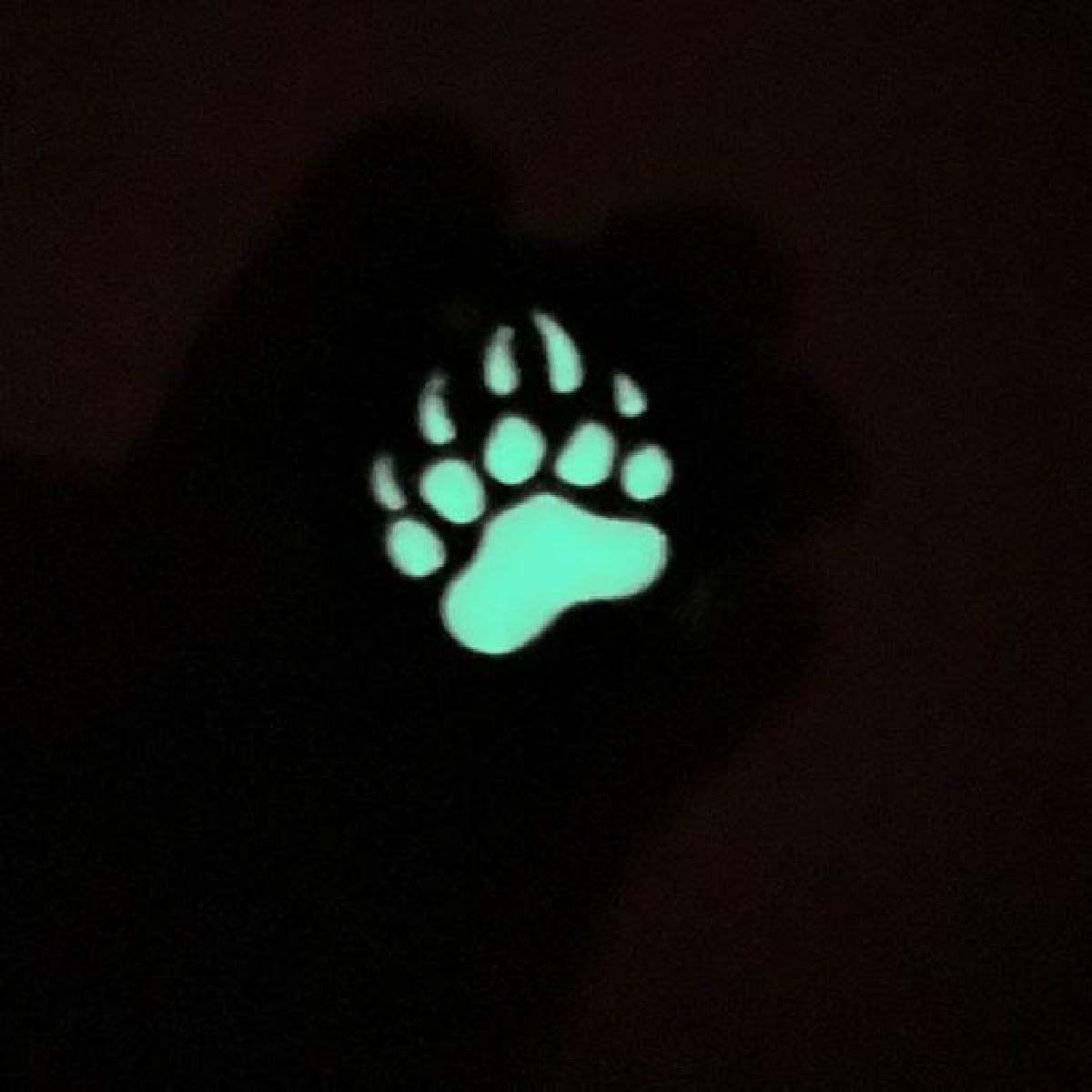 pendente de urso