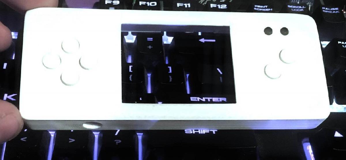 Pocket do Menino Beagle