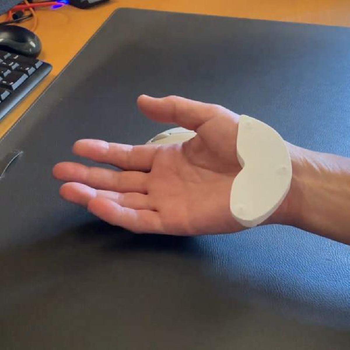 Deslizamento de Asa de Penas   Apoio para Palma Ultra Leve