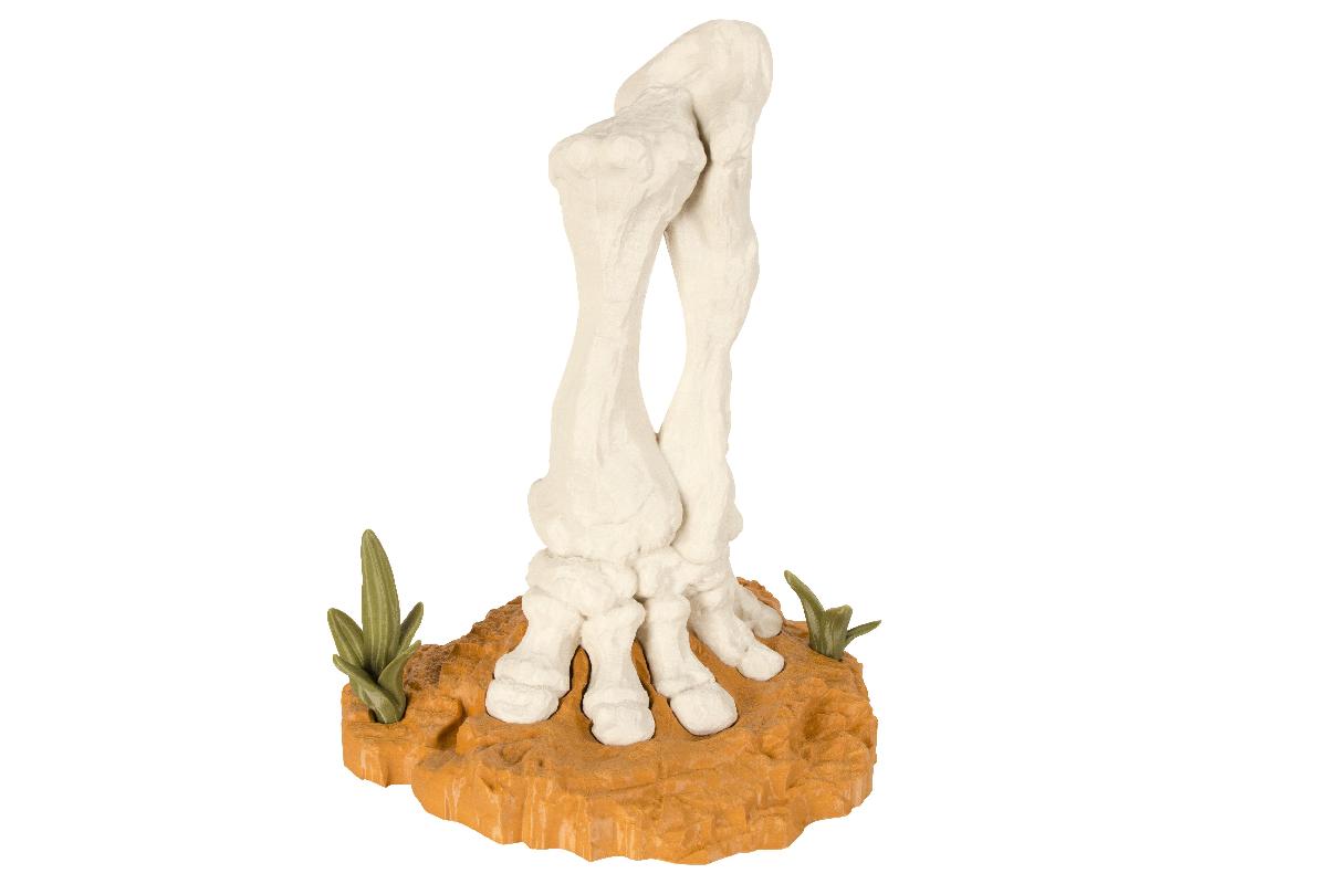 Pegada de Estegossauro