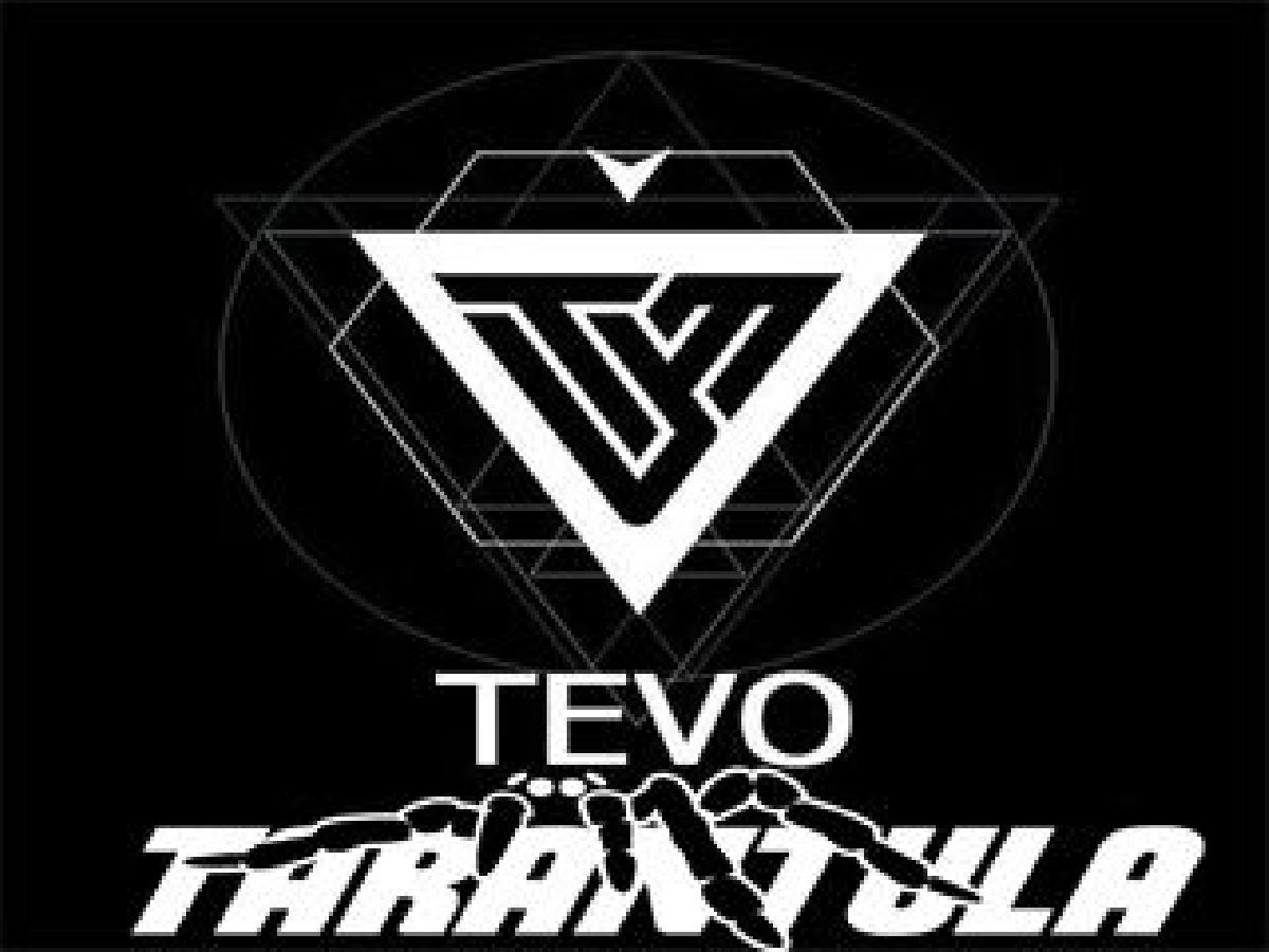 Configuracao da tela MKS TFT 3.2 V3.0 para Tevo Tarantula