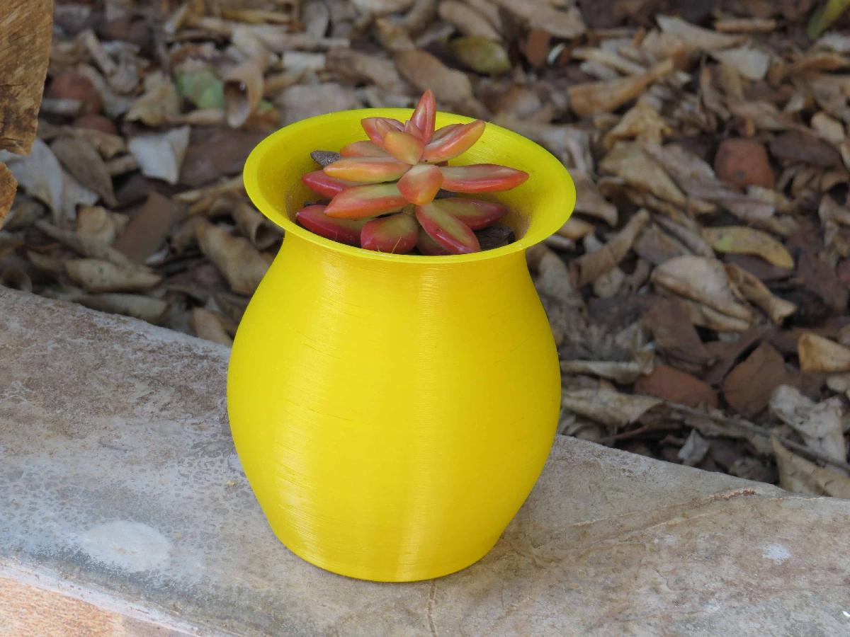 Mini vaso