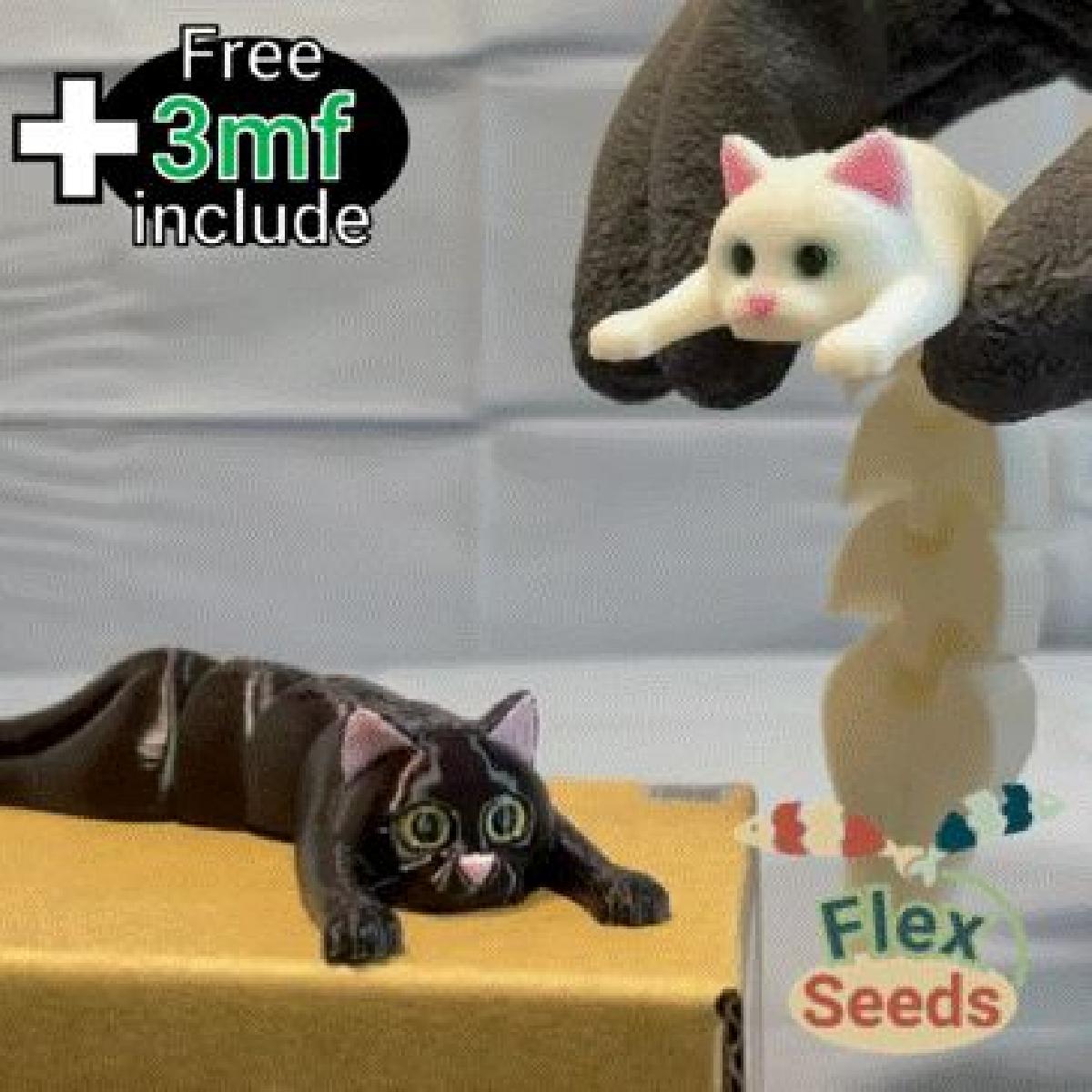 Flexi Holding Cat (impressao no local)