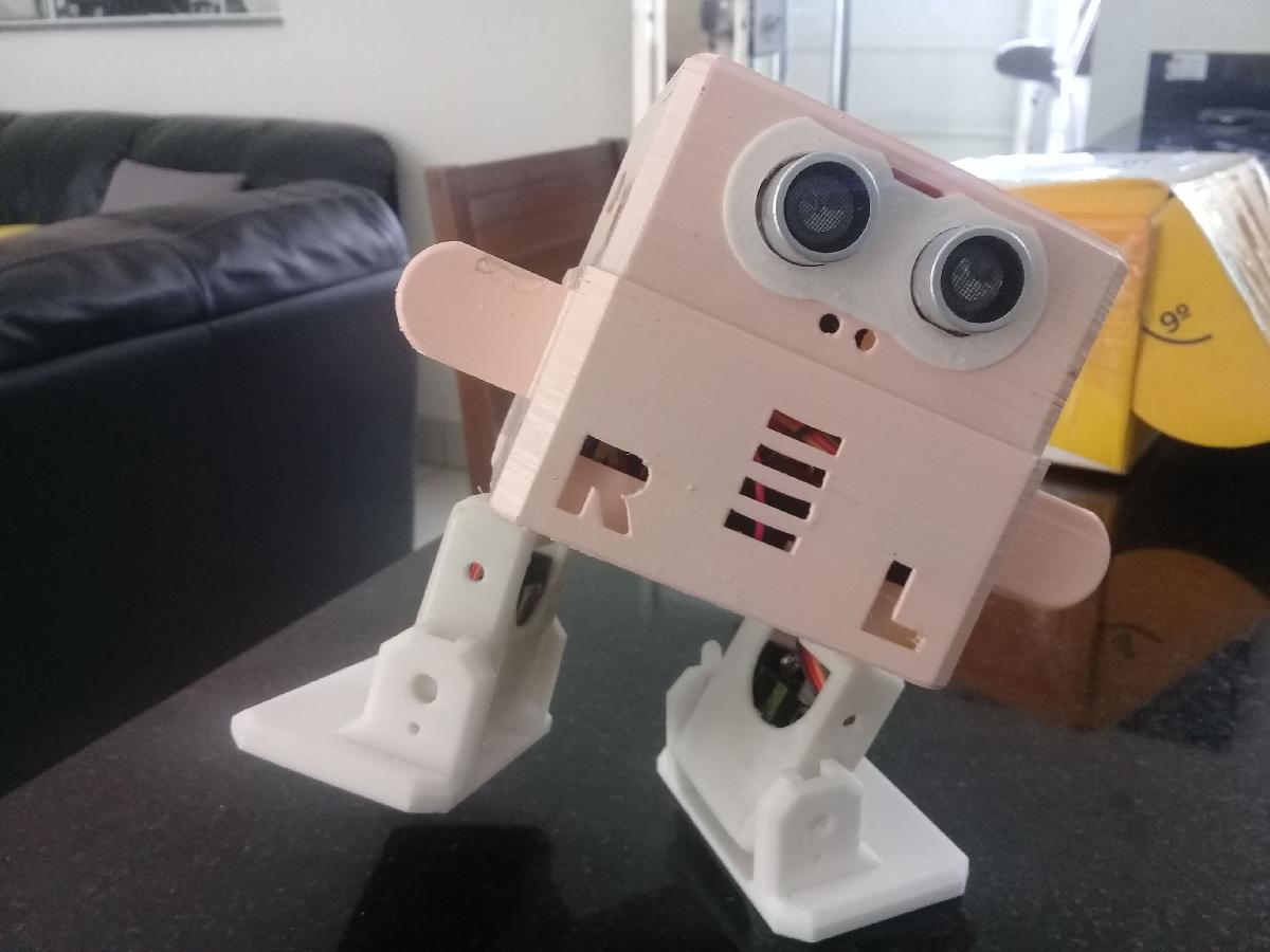Robo Otto Winkler   bateria lipo