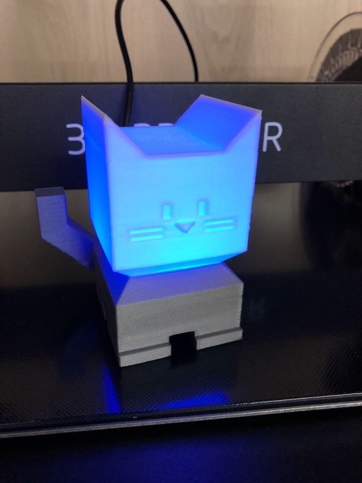 Gato Iluminado