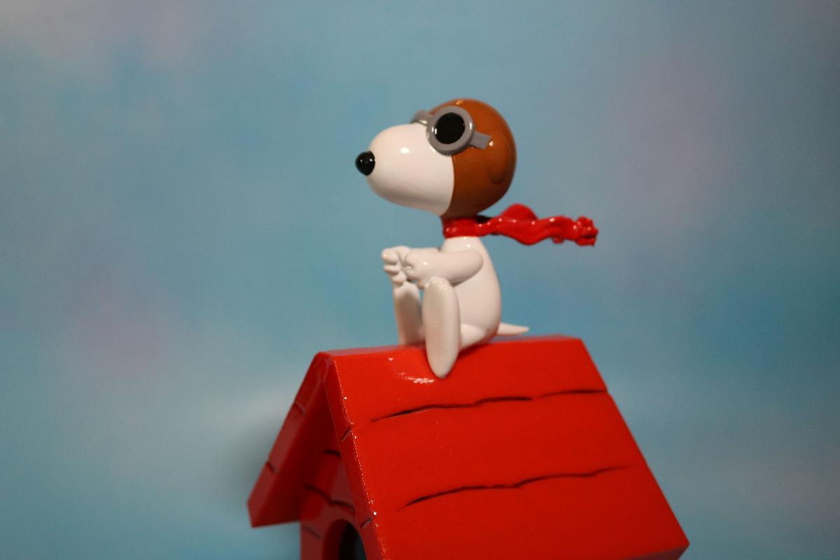 Piloto Snoopy   Figura do Barão Vermelho