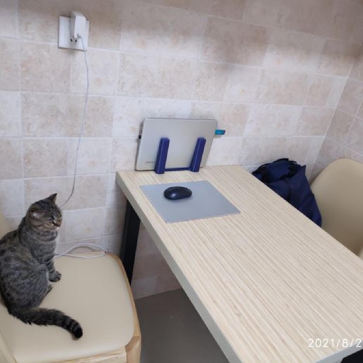 Suporte para Laptop para Mesa de Cozinha