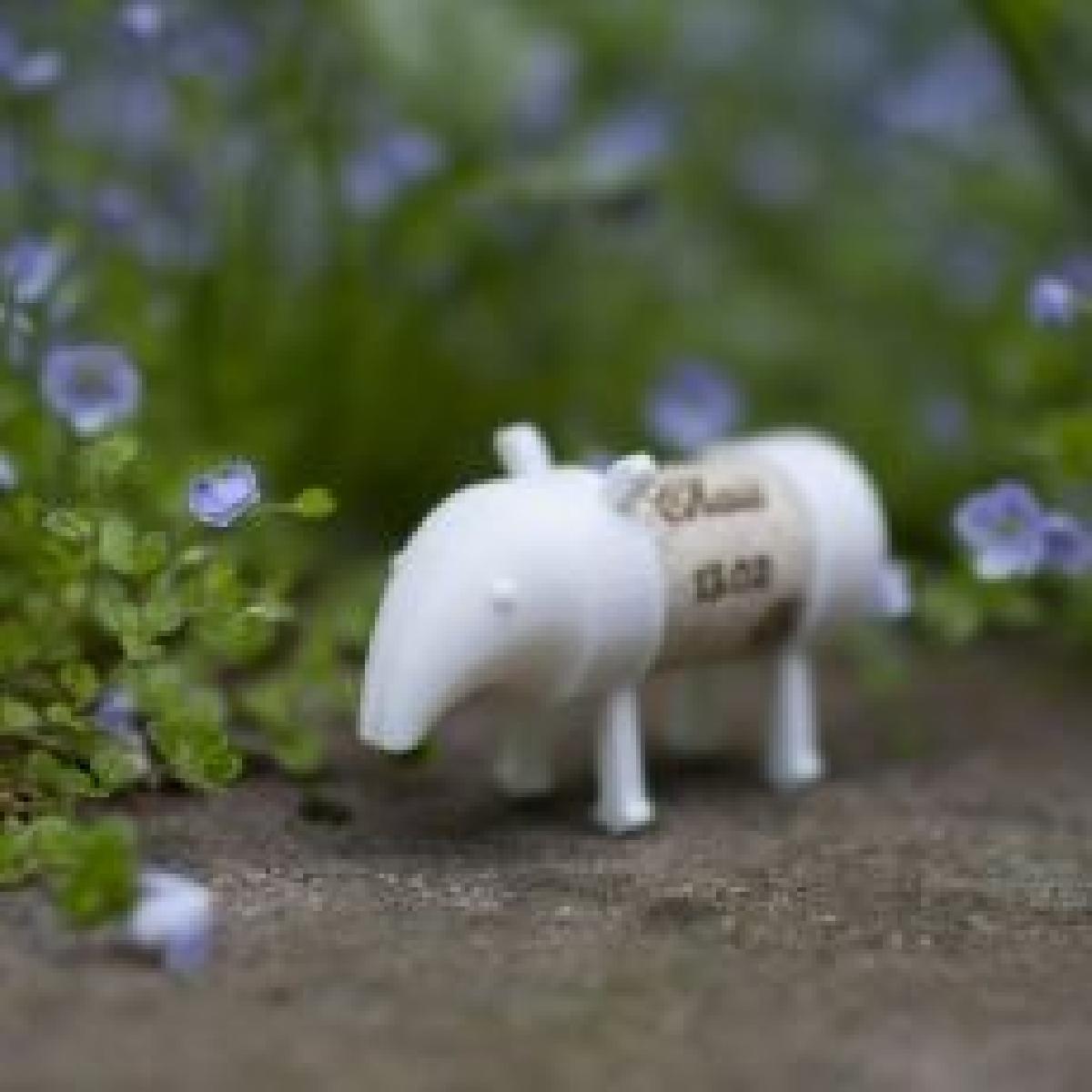 CORK PALS: TAPIR REX