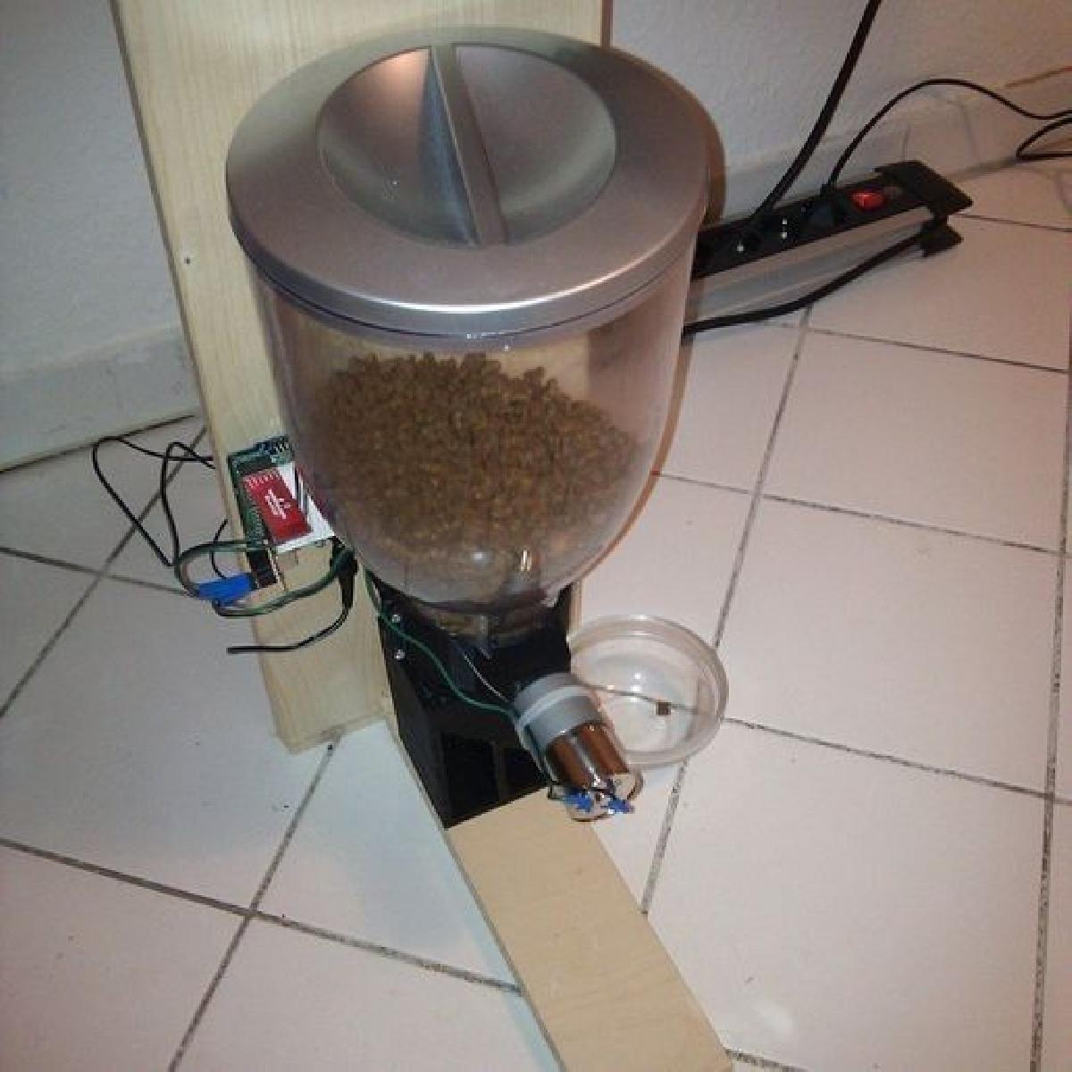Comedouro Automatico para Gatos