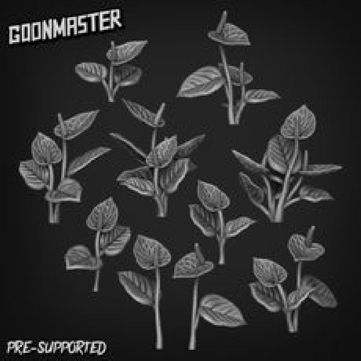 Bits de Base 223   Anthurium Andraeanum