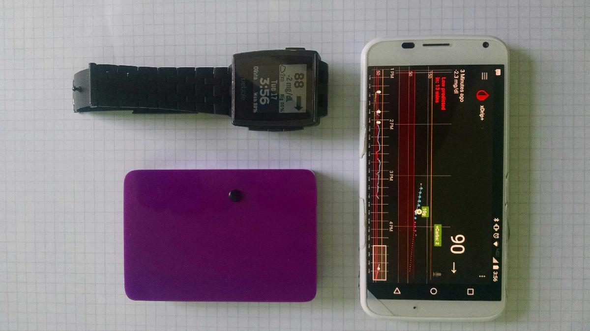 Capa para Periquito / Bateria Removivel