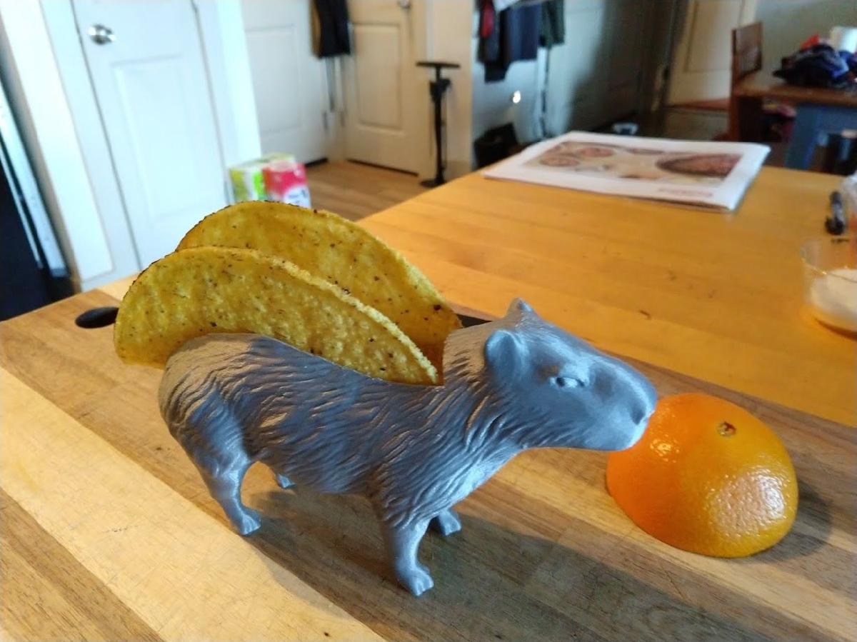 Capivara Taco