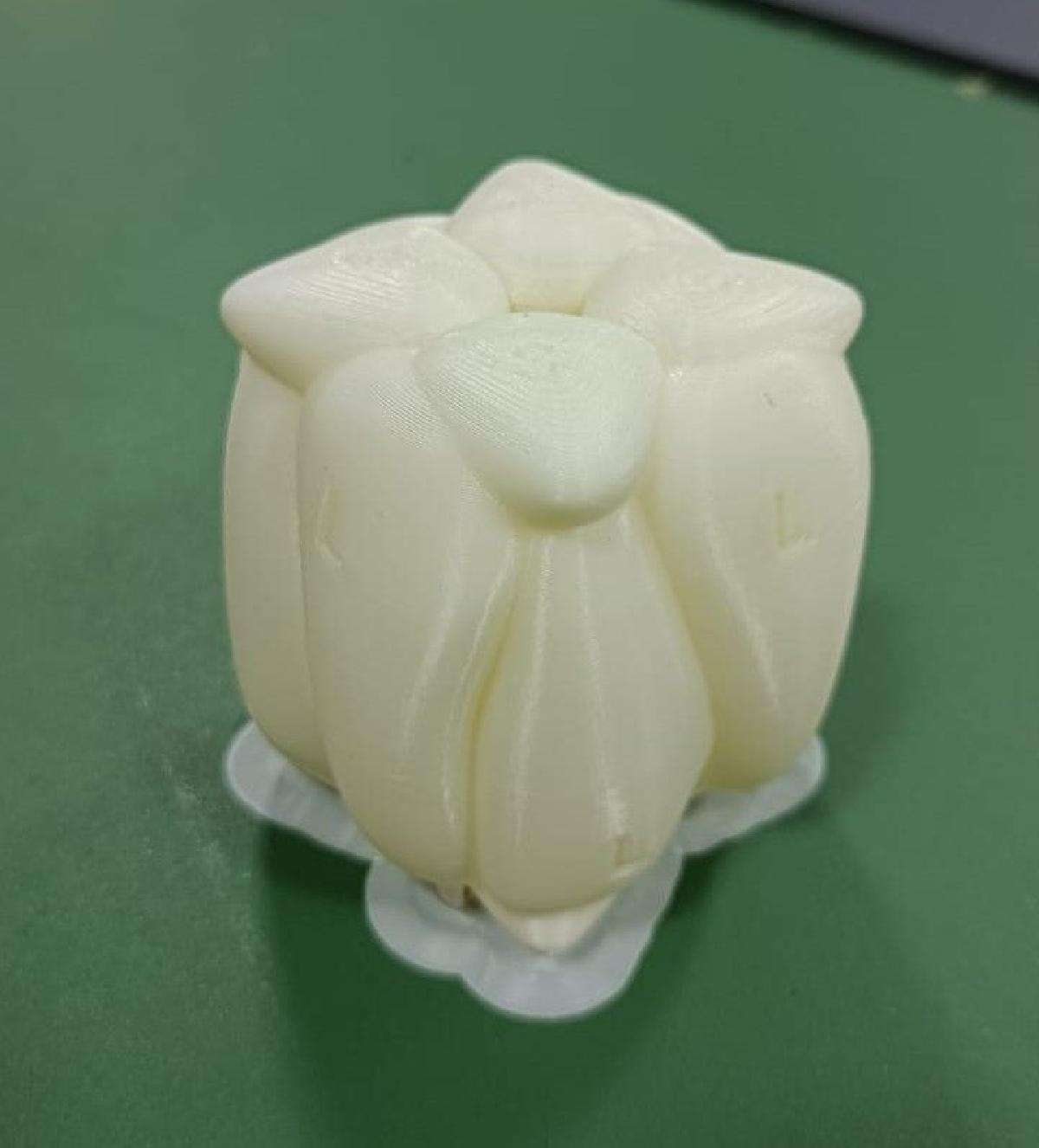 RuBisCO pelo Museu Maker