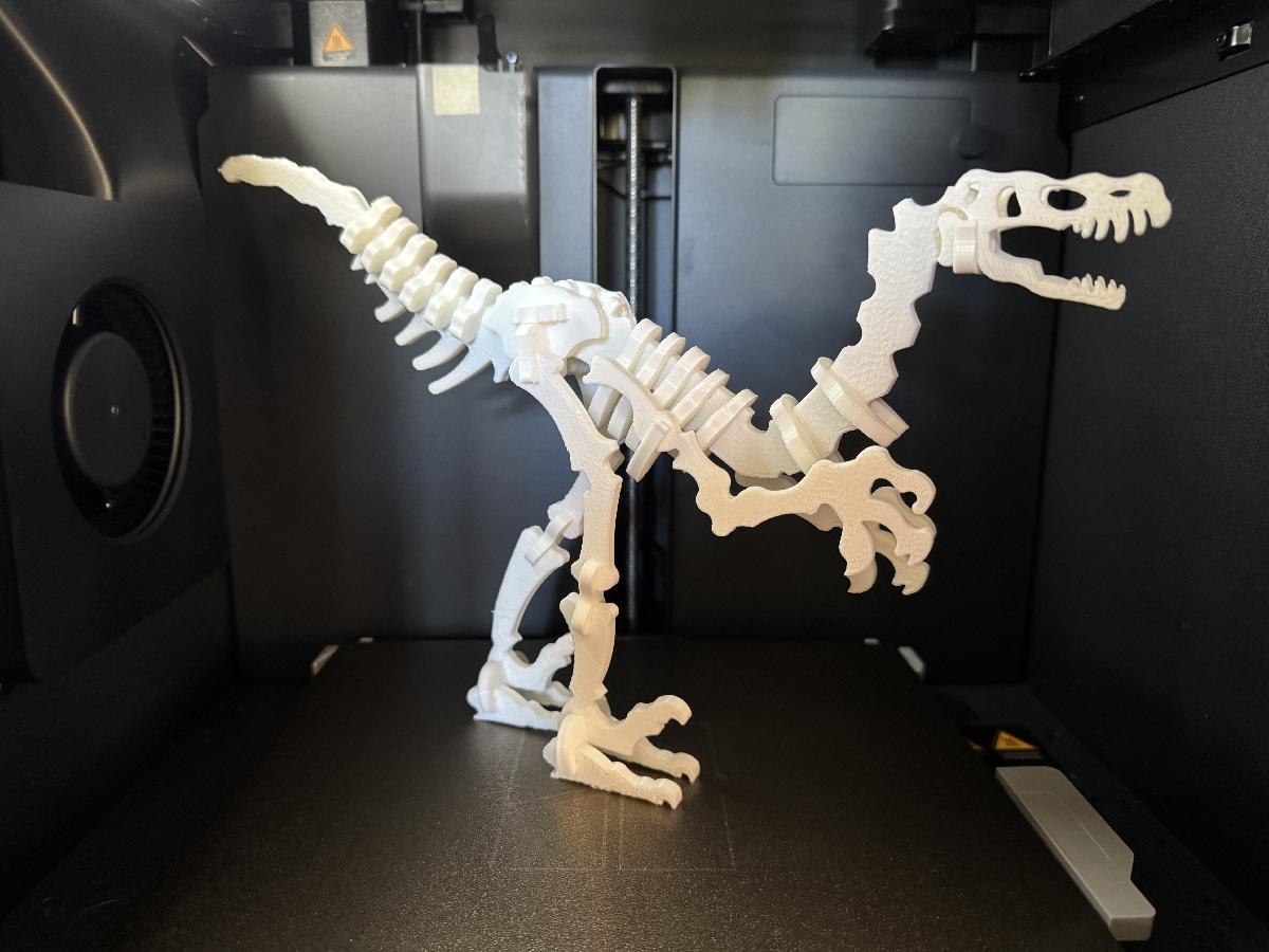 Esqueleto de dinossauro completo