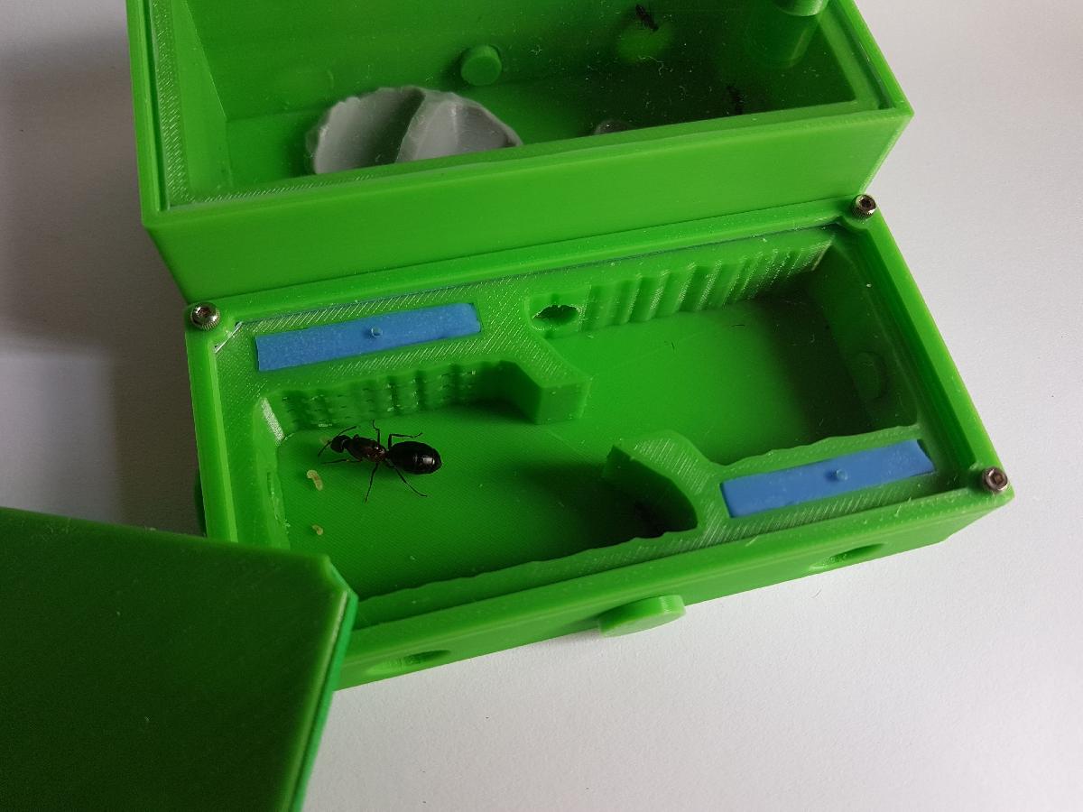 Hormiguero Modular 5x10   Formigueiro Modular 5x10