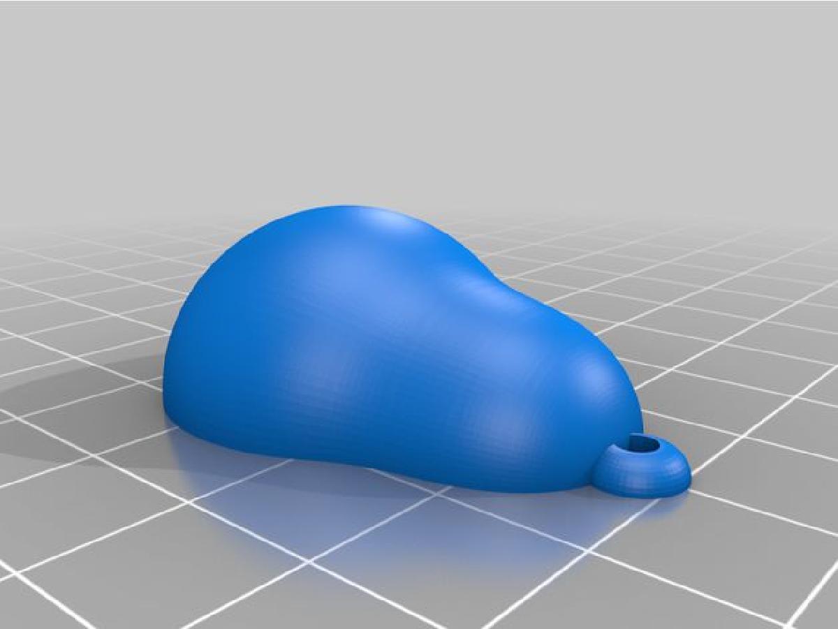 Palta   abacate   aguacate Chaveiro