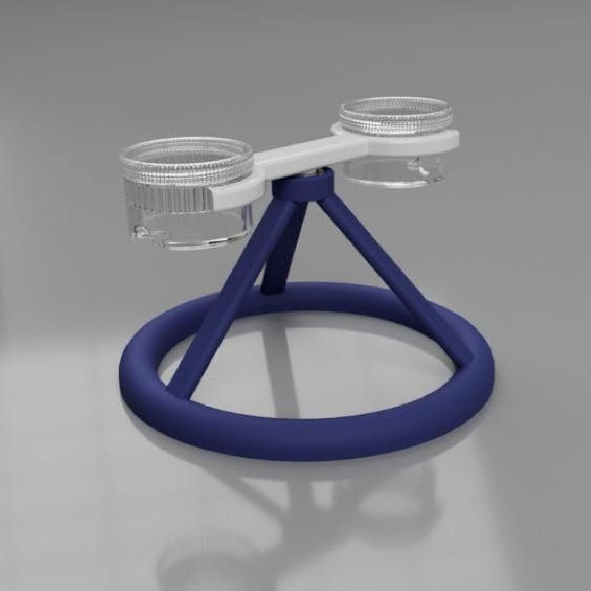 Catnip Spinner para gatos (brinquedo para gatos)