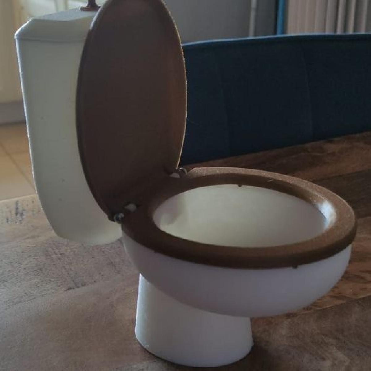 Vaso sanitario para pessoa extremamente pequena, ou uma impressora 3D.