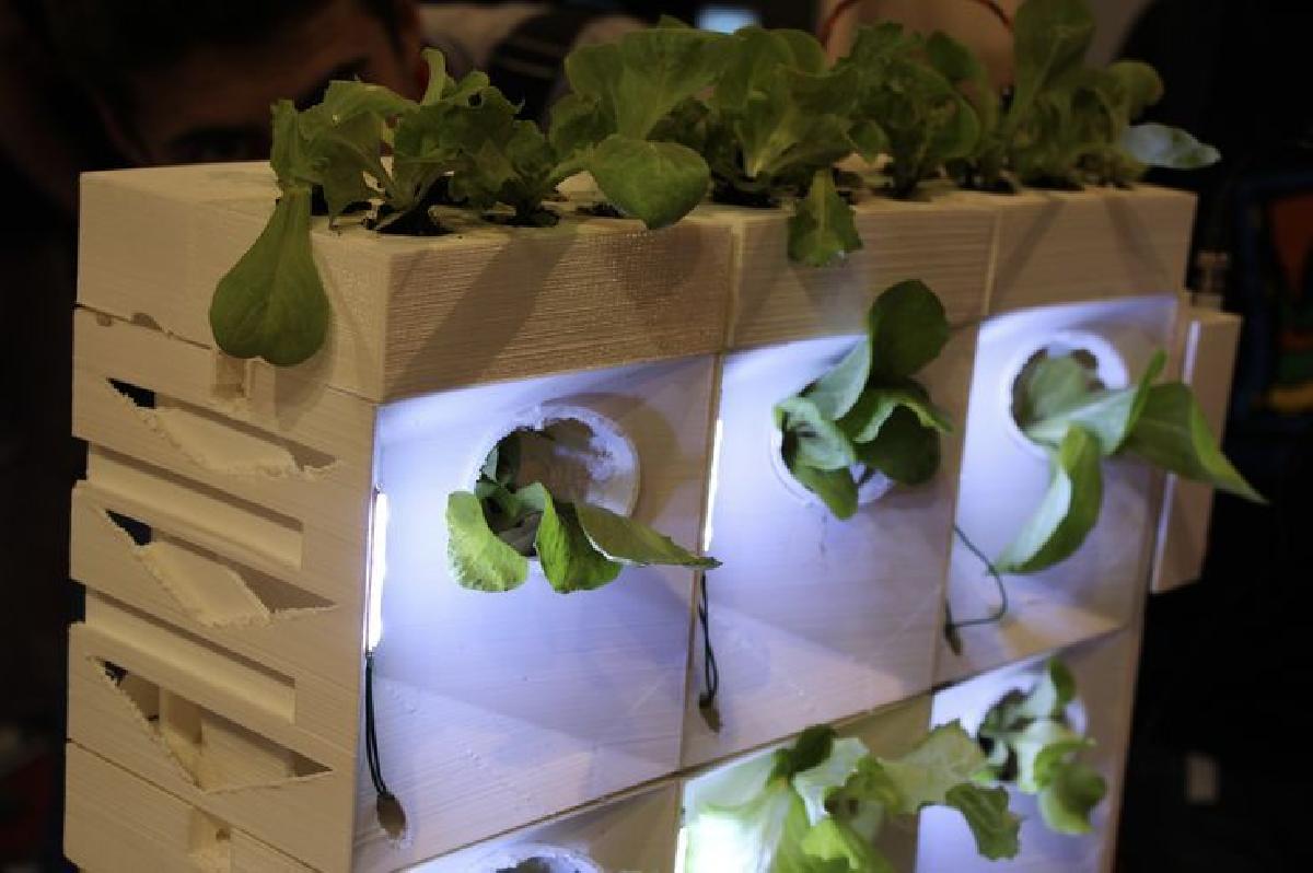 Sistema de Casa Hidroponica