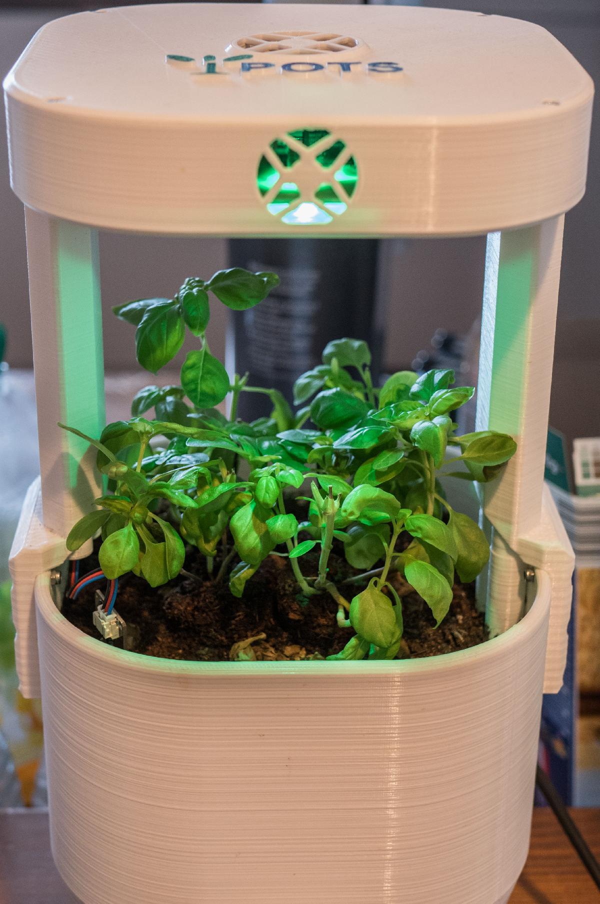 Eu Panelas Sefl Autirrigaveis e vasos de crescimento