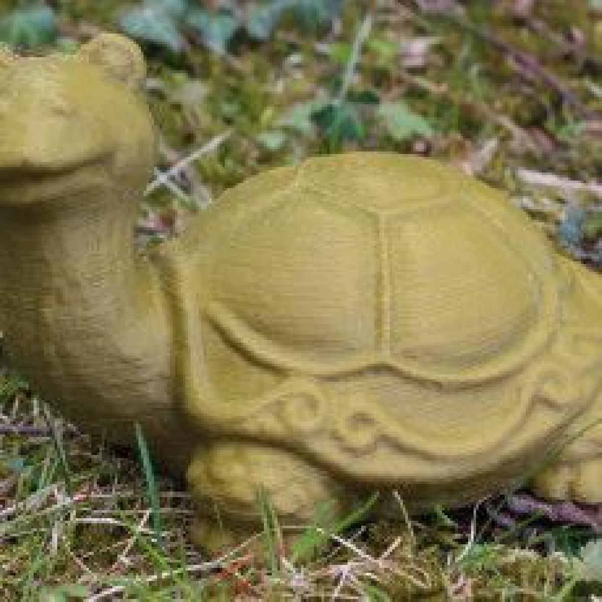 Tartaruga