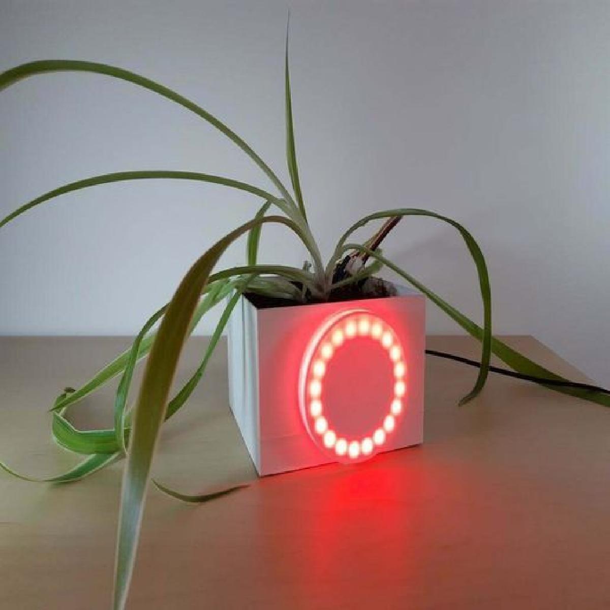 Vaso de flores conectado por microbit