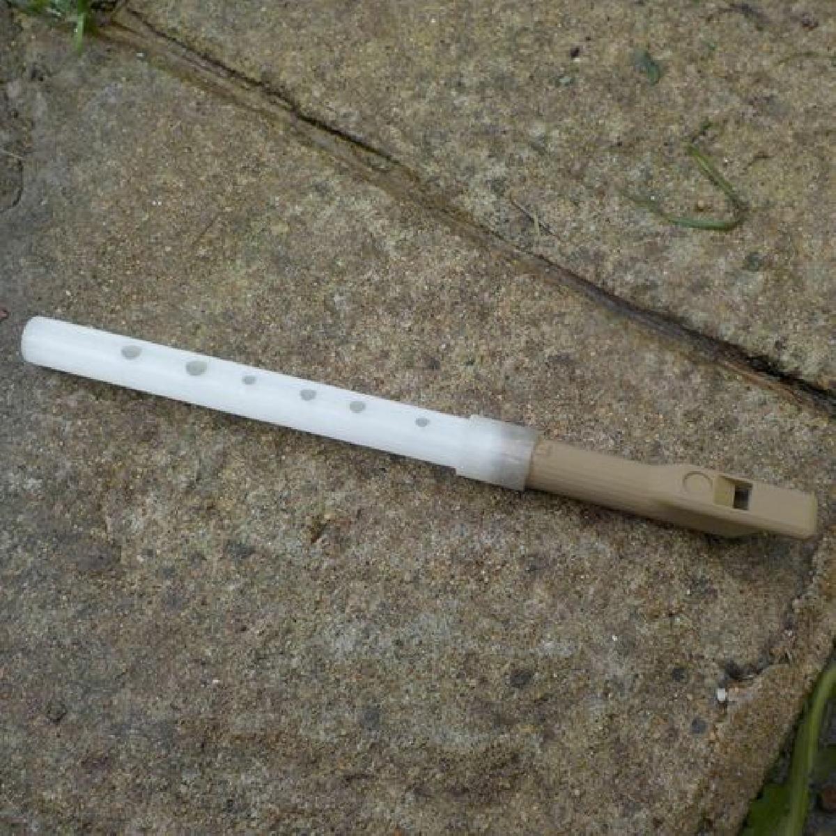 flauta de seis buracos (D)