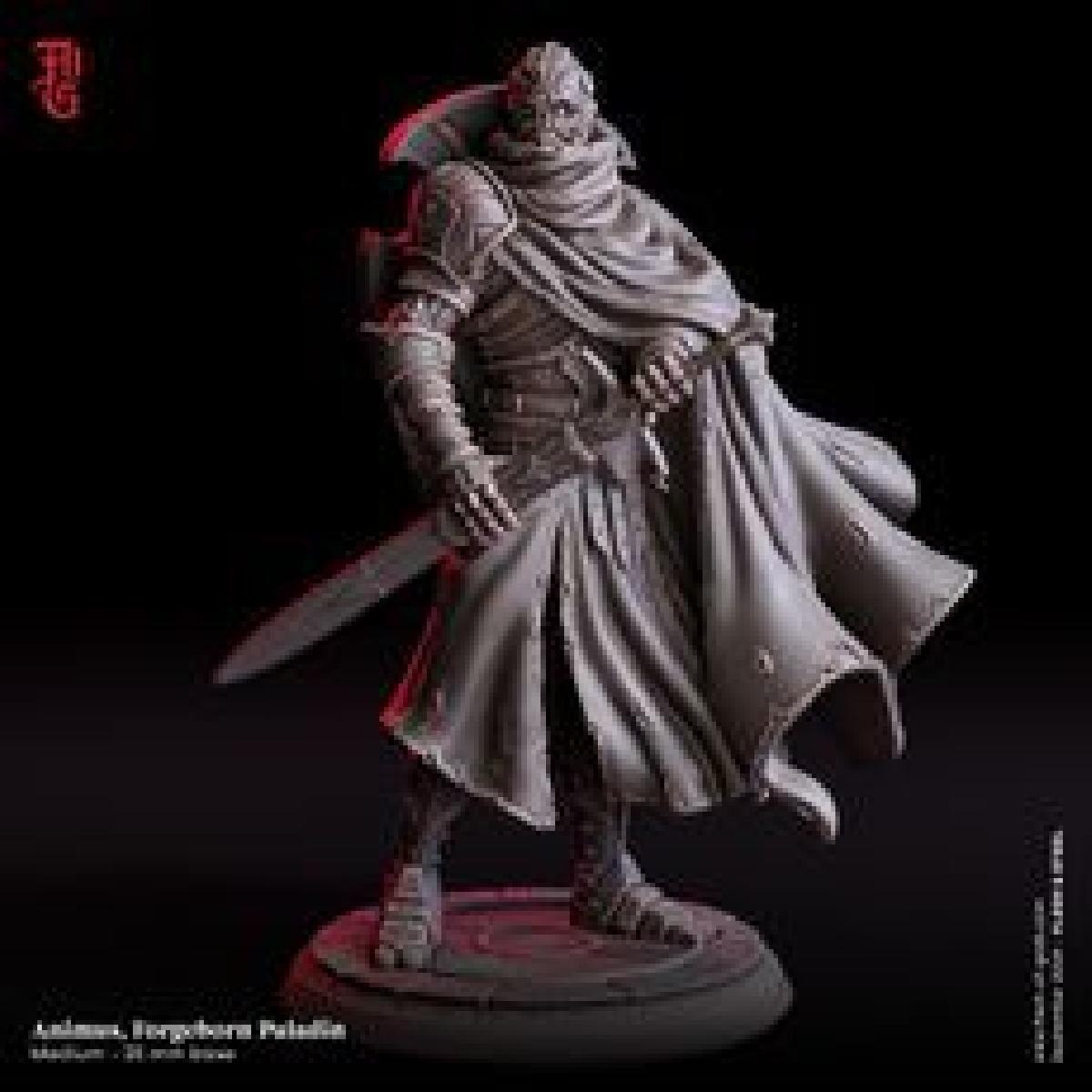 Animus, Paladino Nascido da Forja