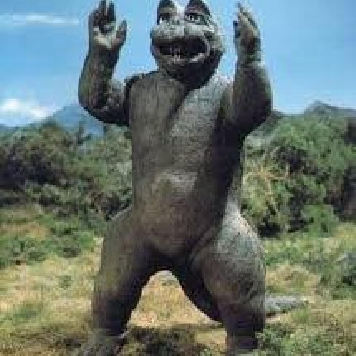 Minilla 1967