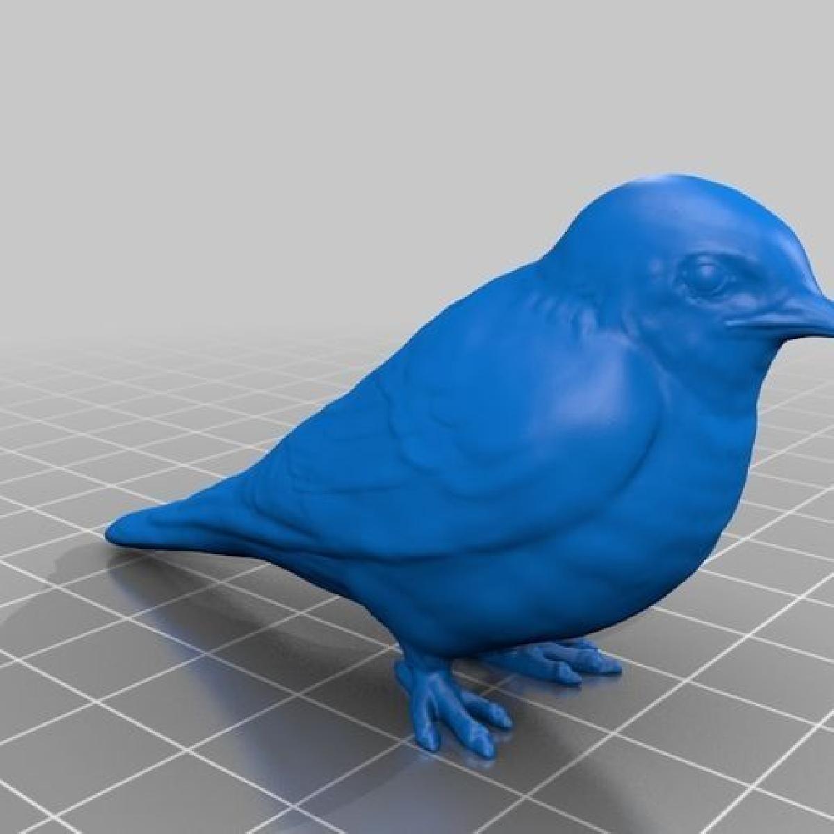 Dados 3D de andorinha