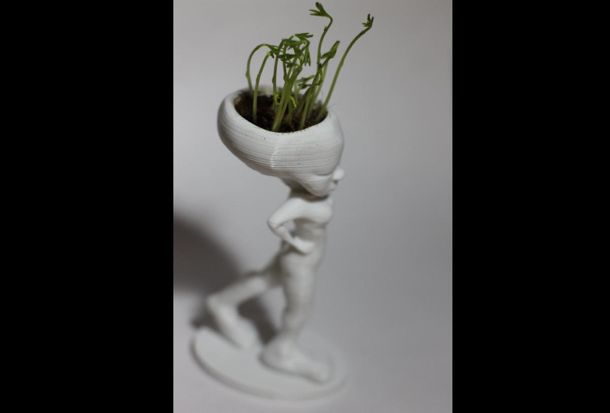 vaso de flores