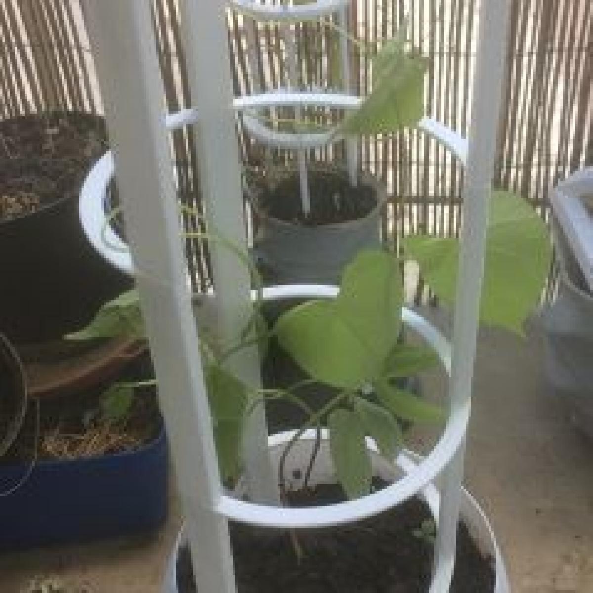 Suporte para plantas de 10, 11 e 12 cm