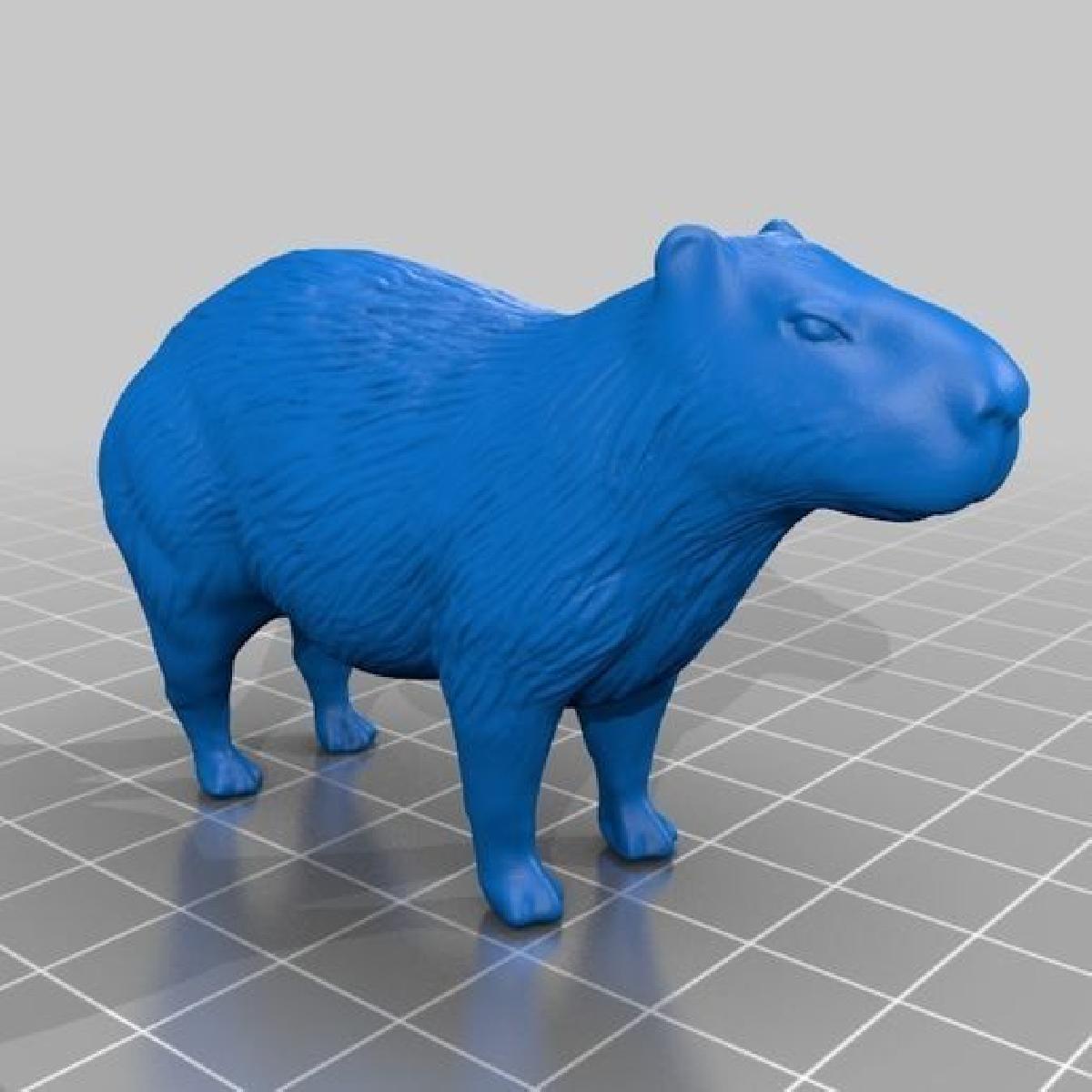 カピバラ(Capivara)3Dデータ