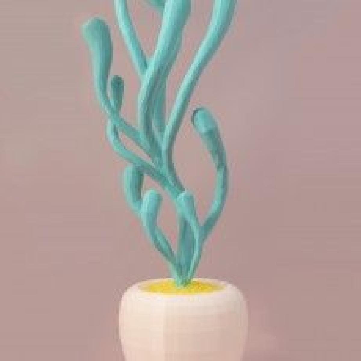 Jardim Alienigena // Plante 4