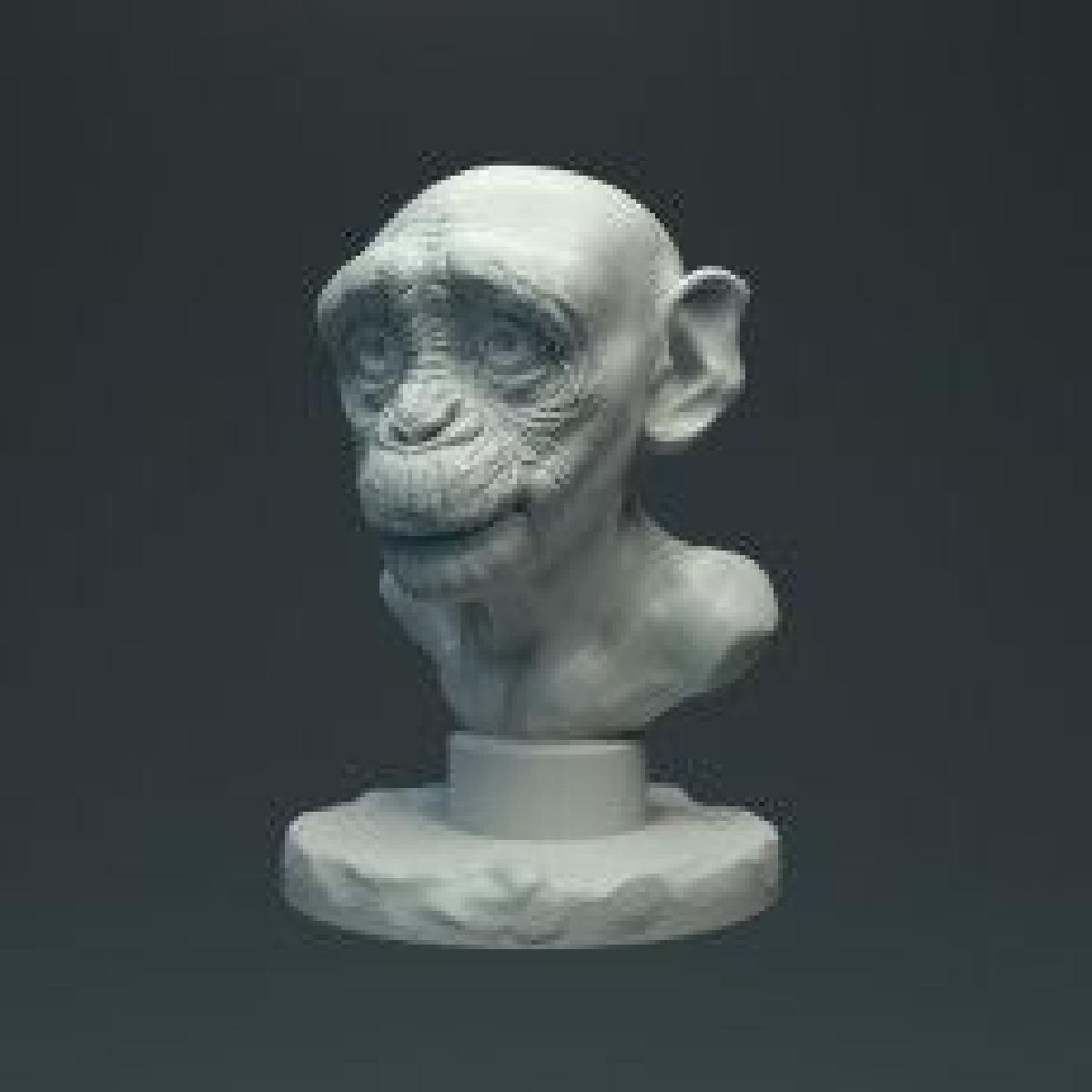 Busto do chimpanzé do bebê