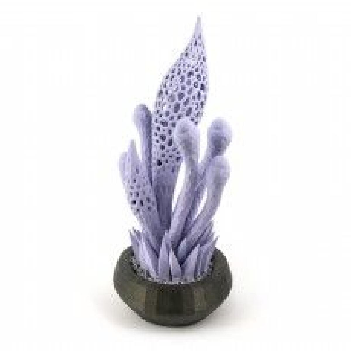 Jardim Alienigena // Plante 5