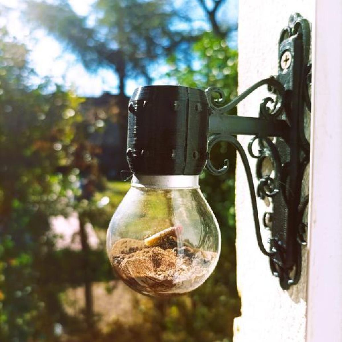 Mini Terrario   Vaso de Lampada Reciclado