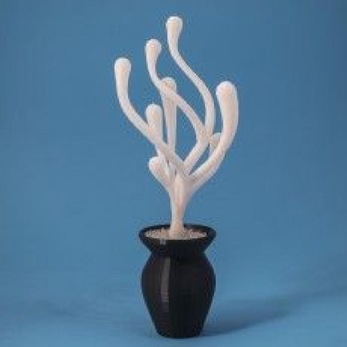 Jardim Alienigena // Planta 1