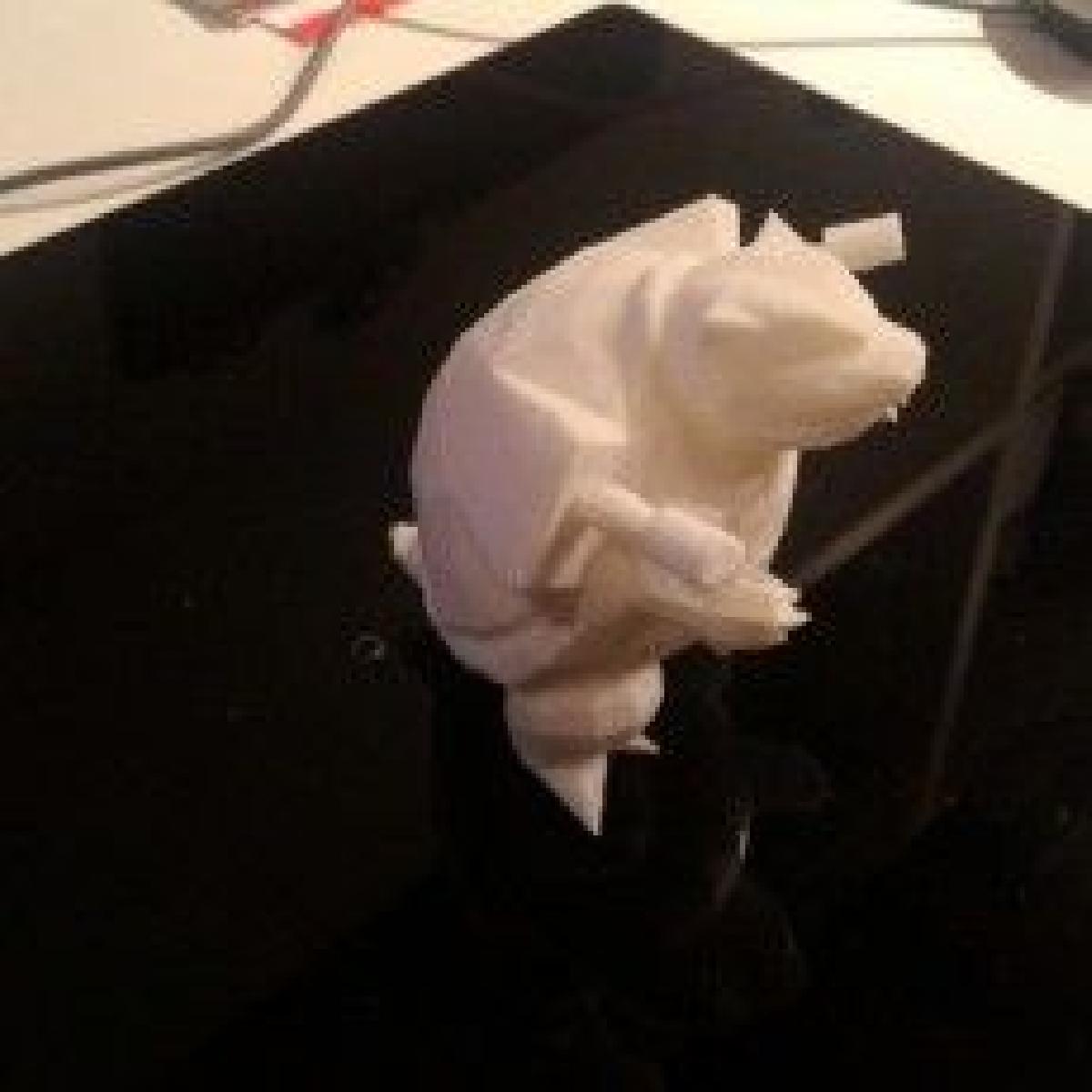 Pokemon   Blastoise