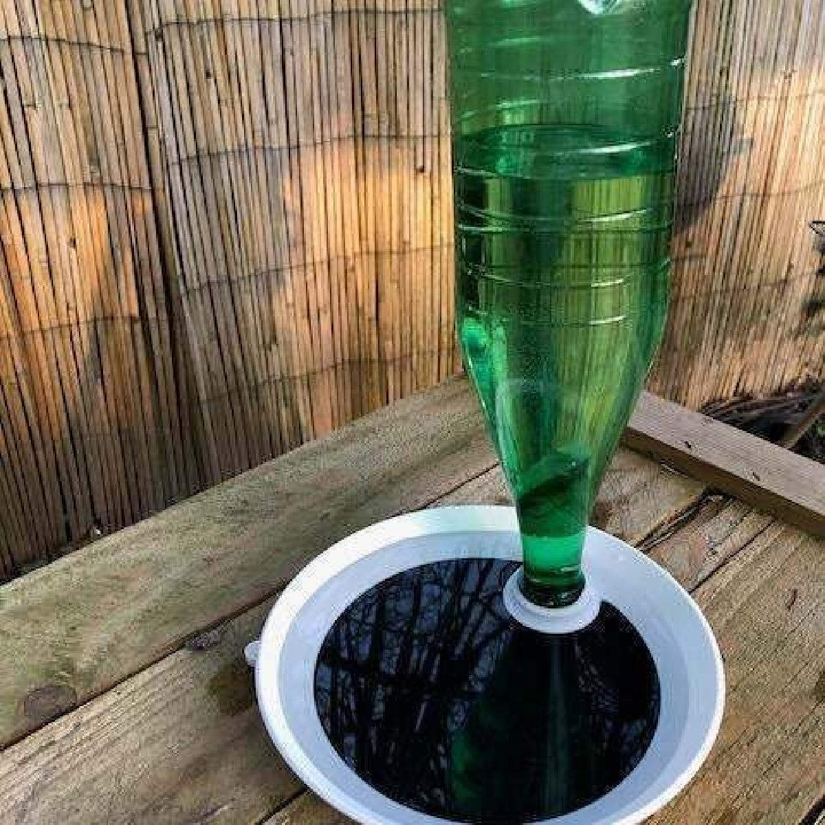 Dispensador de agua e banho para passaros.